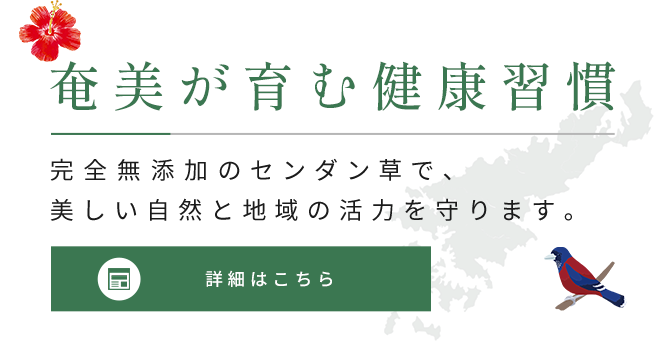 奄美が育む健康習慣