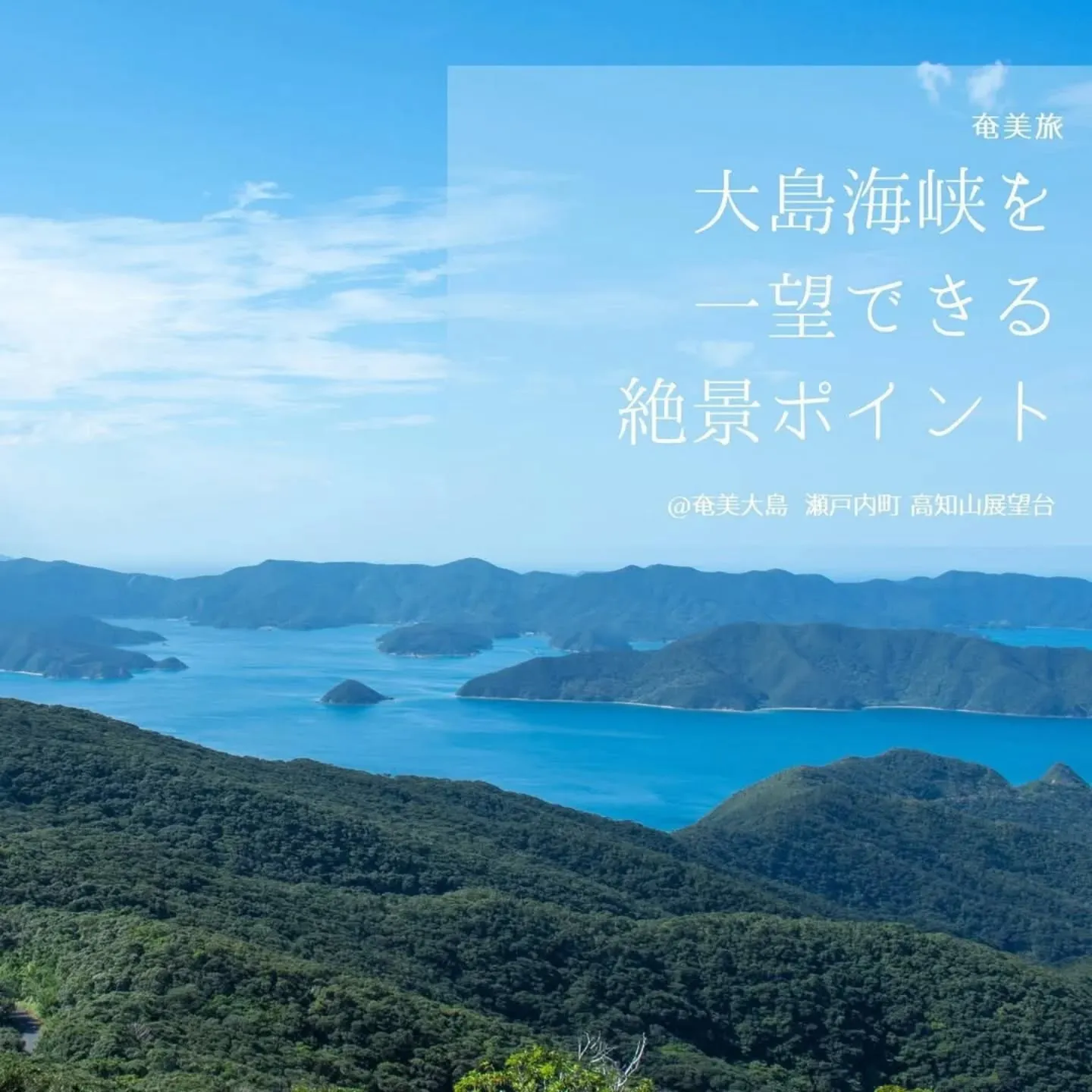 🌿 “グリーン”な想いを込めて