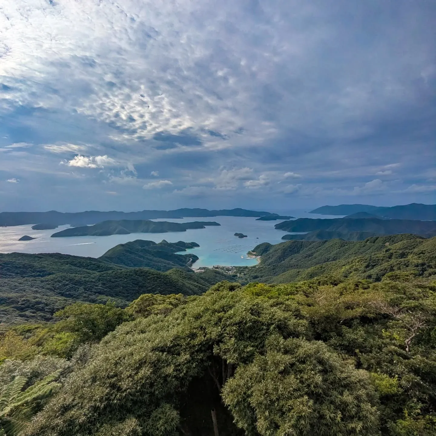🌿 “グリーン”な想いを込めて