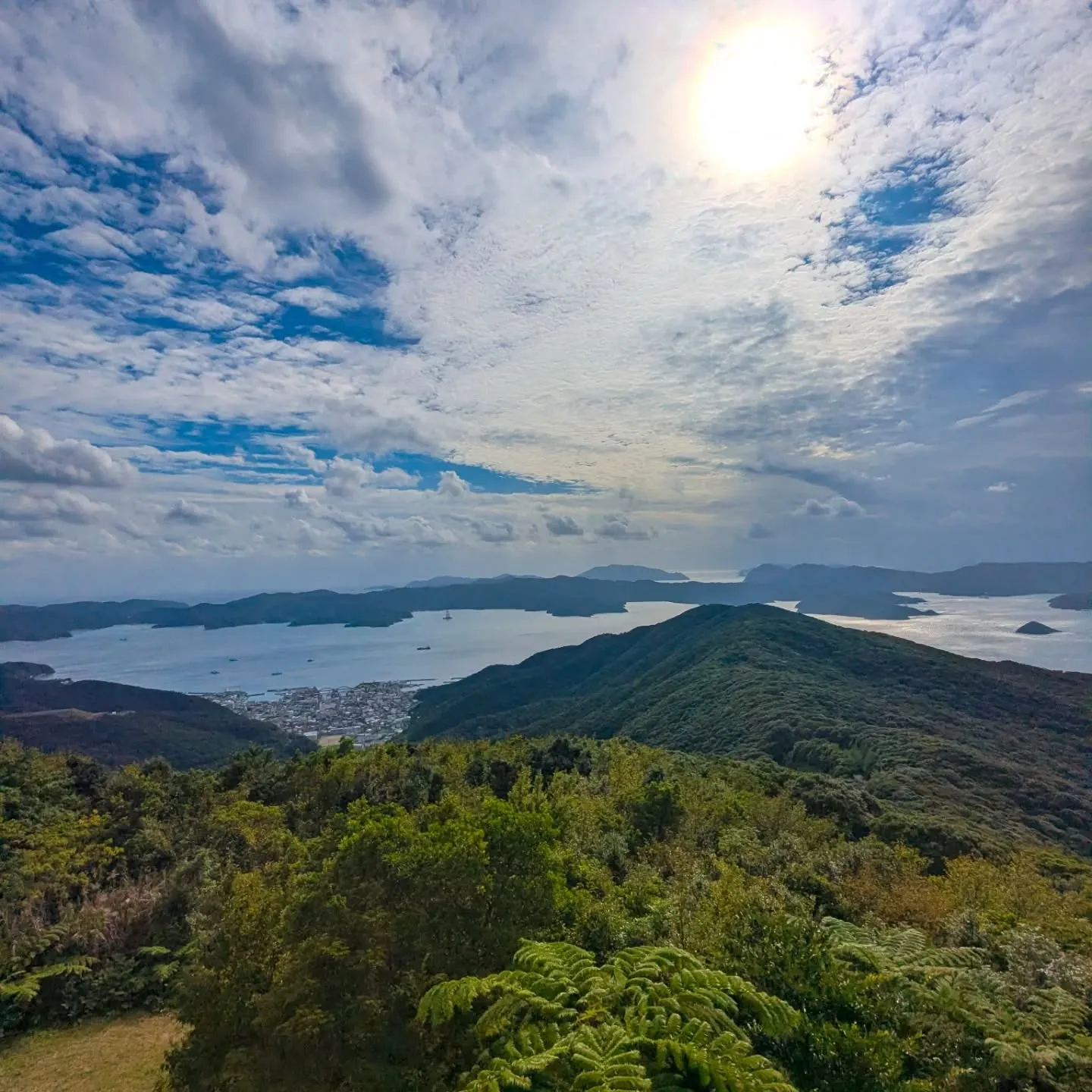 🌿 “グリーン”な想いを込めて