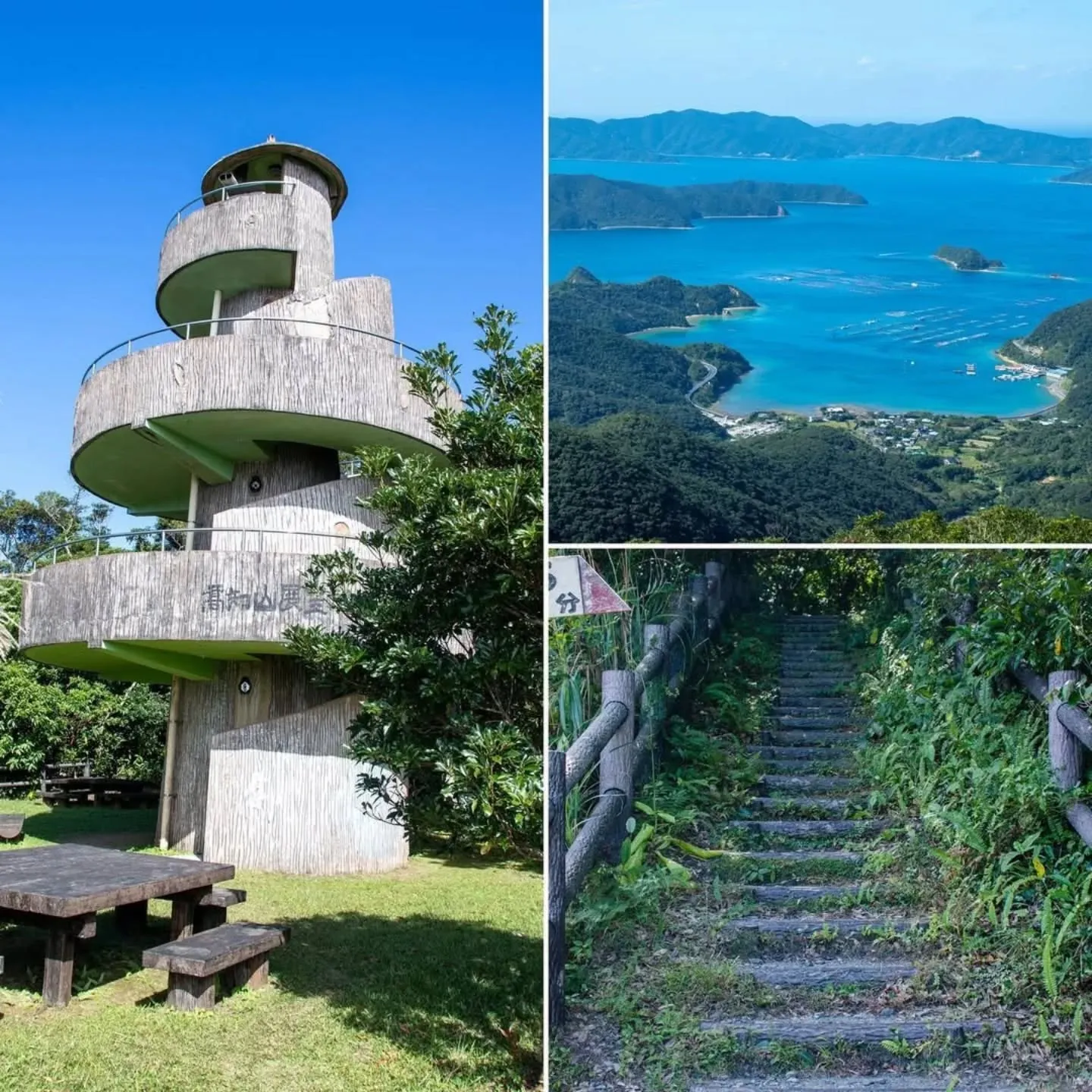 🌿 “グリーン”な想いを込めて