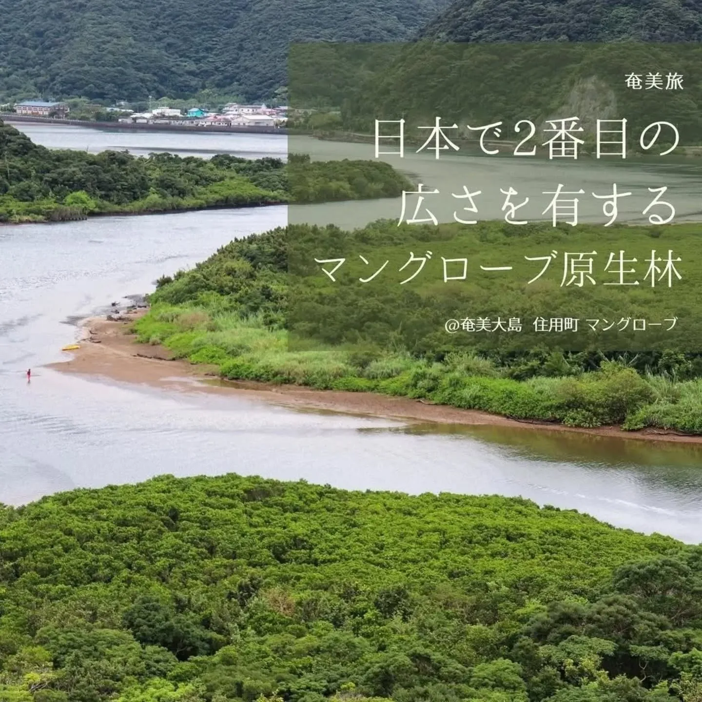 こんにちは、㈱AMAMI GREEN LABELです😊