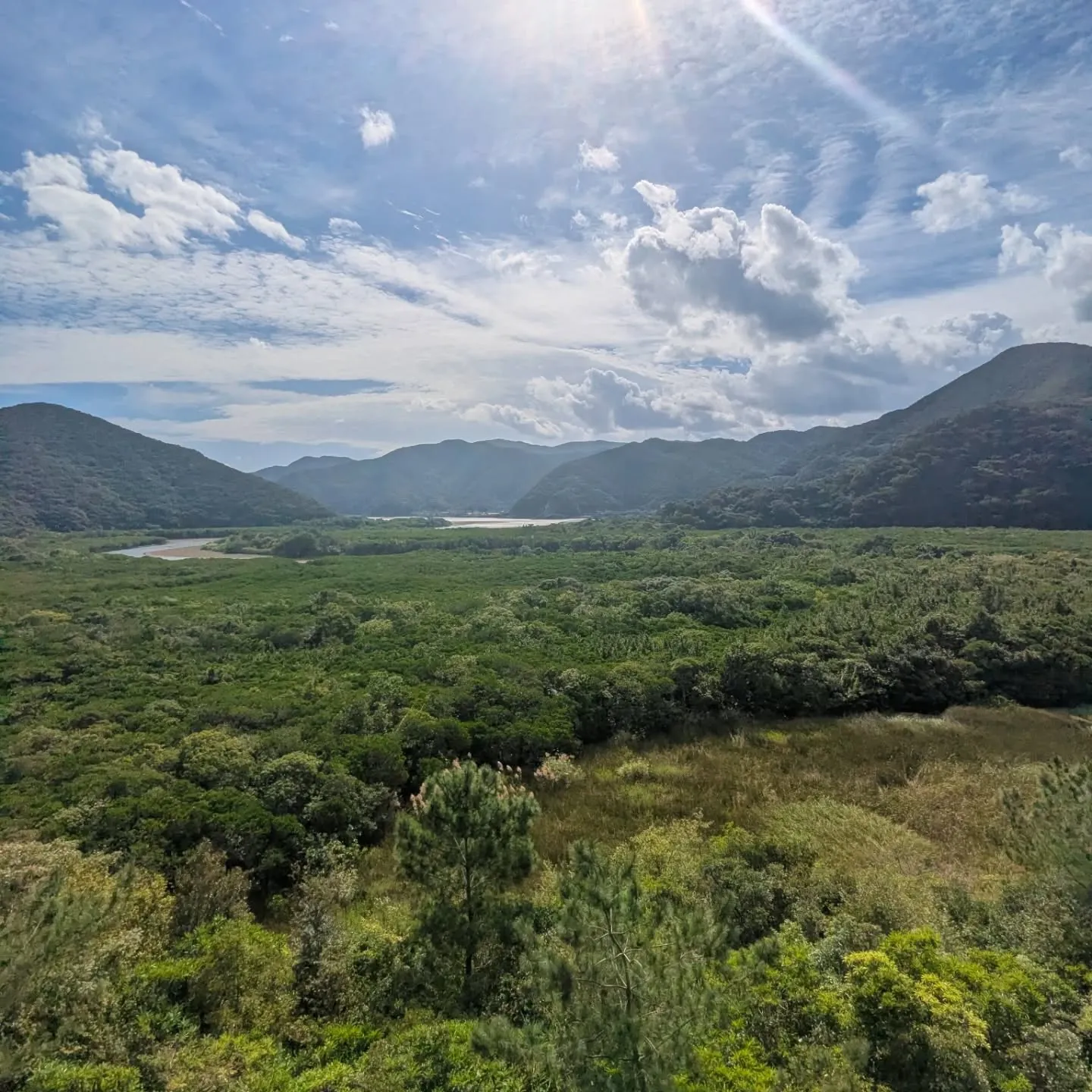 こんにちは、㈱AMAMI GREEN LABELです😊