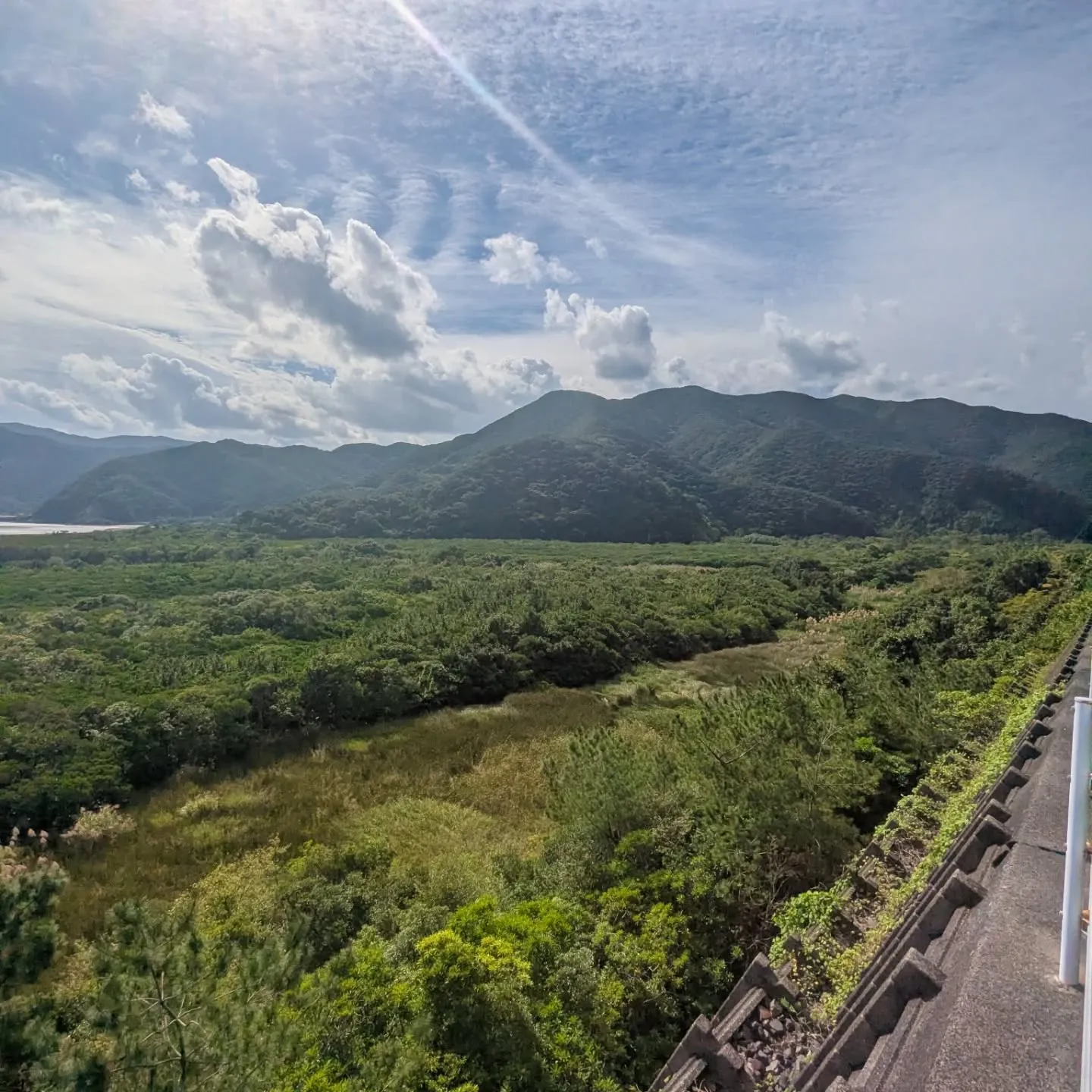 こんにちは、㈱AMAMI GREEN LABELです😊