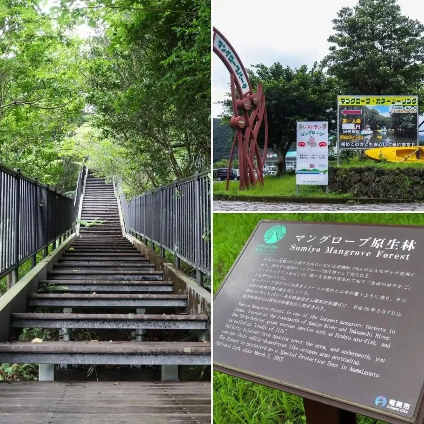 こんにちは、㈱AMAMI GREEN LABELです😊