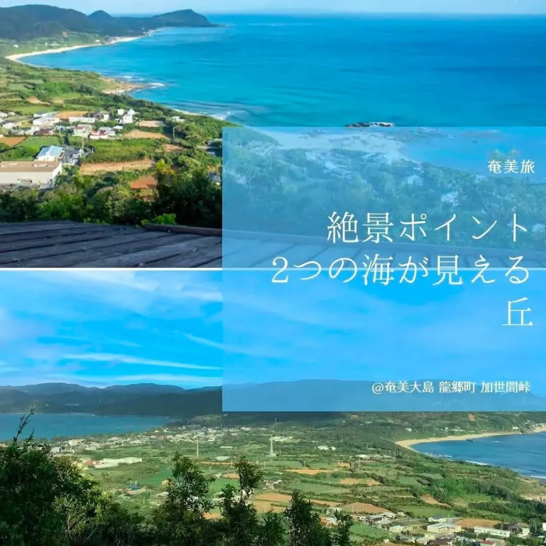 子どもの頃、服にびっしり付いて笑いながら取った