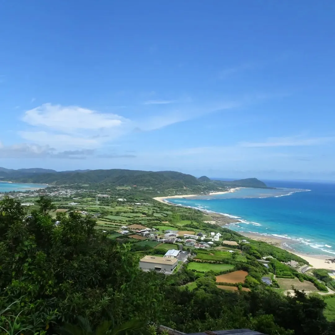 子どもの頃、服にびっしり付いて笑いながら取った