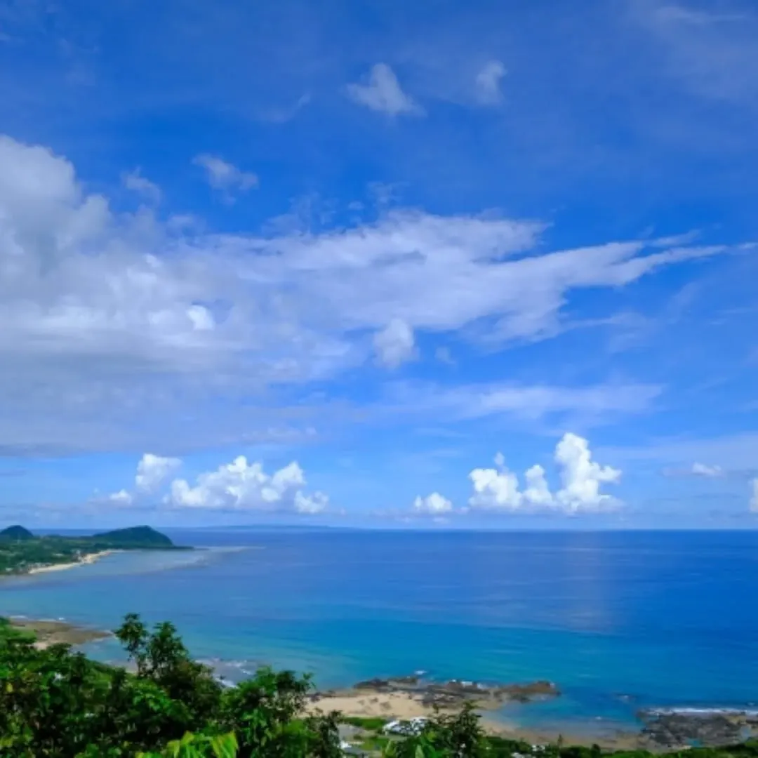 子どもの頃、服にびっしり付いて笑いながら取った