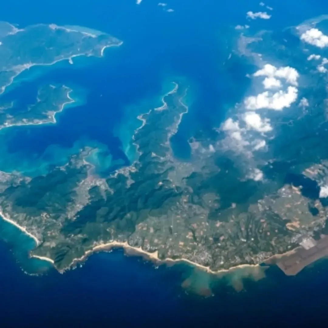 子どもの頃、服にびっしり付いて笑いながら取った