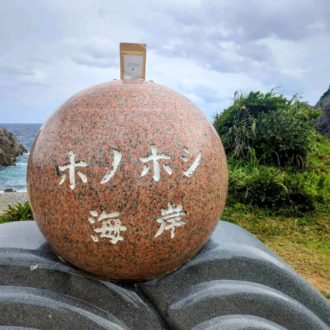 ❄️冬の奄美大島で“ひっつき虫”の恵みを。