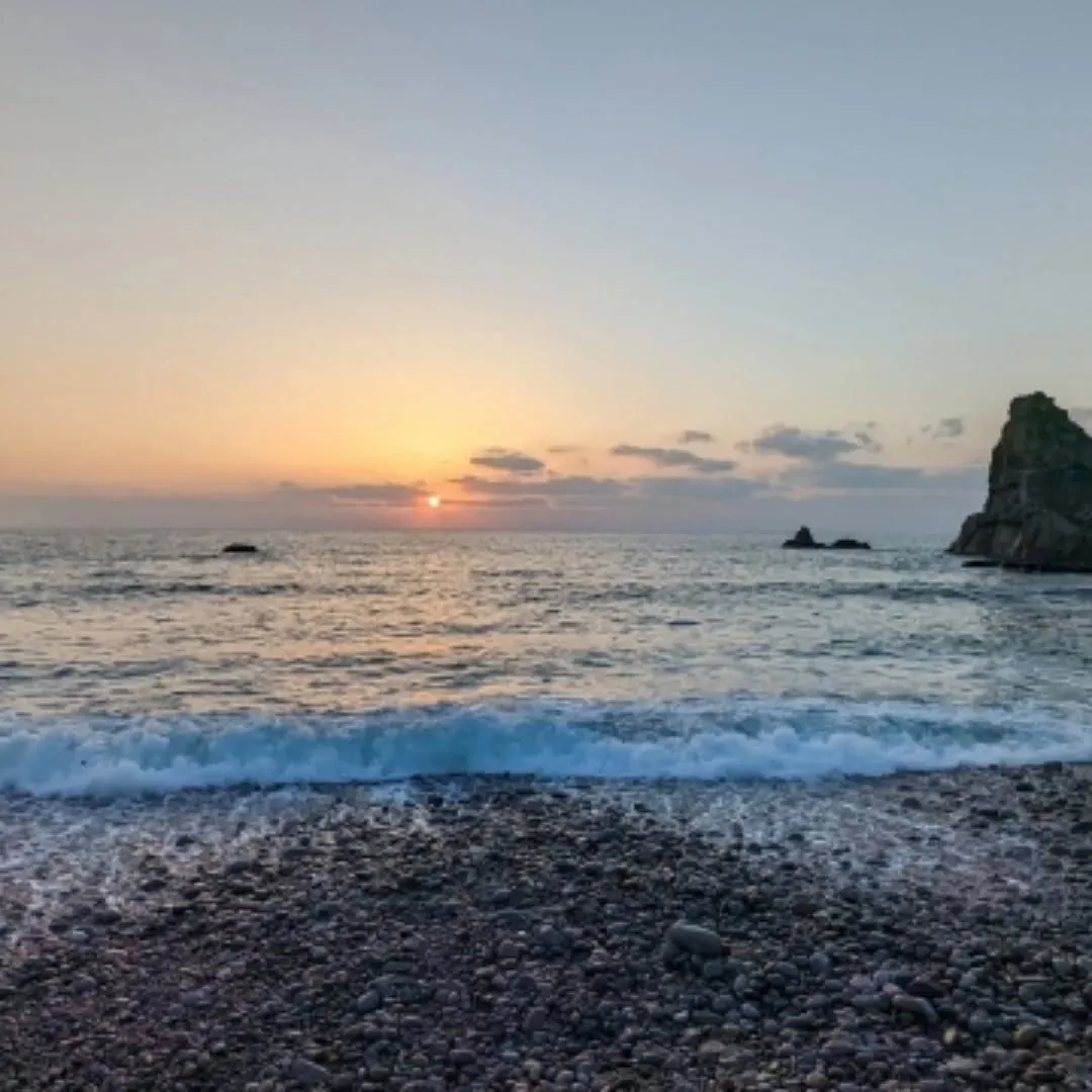 ❄️冬の奄美大島で“ひっつき虫”の恵みを。