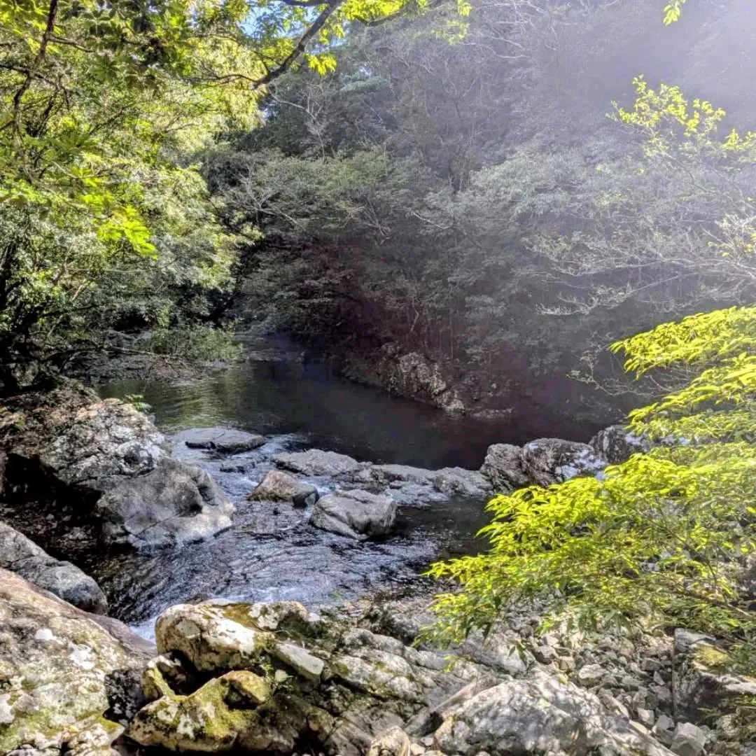 今年も残すところあと1ヶ月。