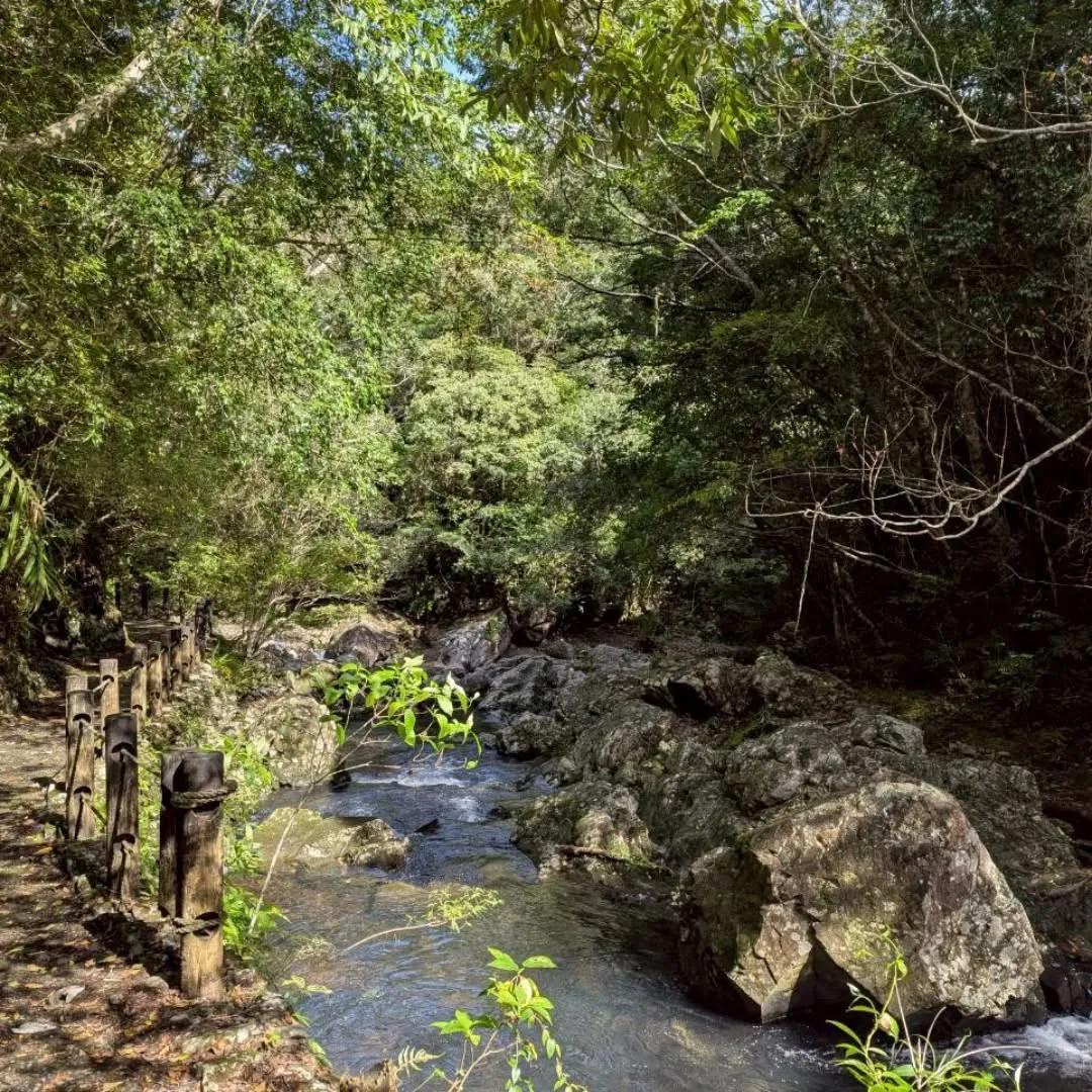 今年も残すところあと1ヶ月。