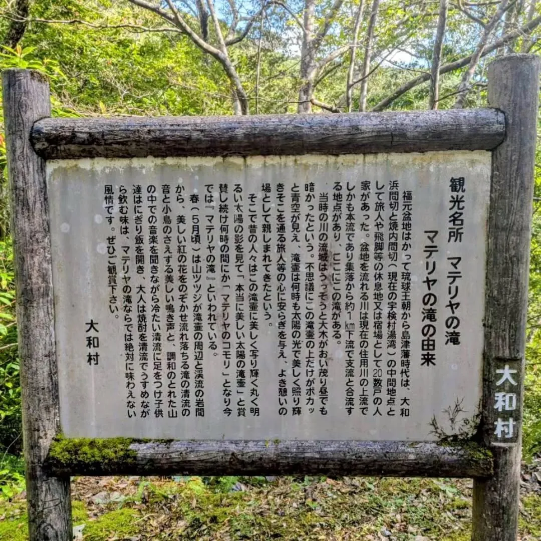 今年も残すところあと1ヶ月。