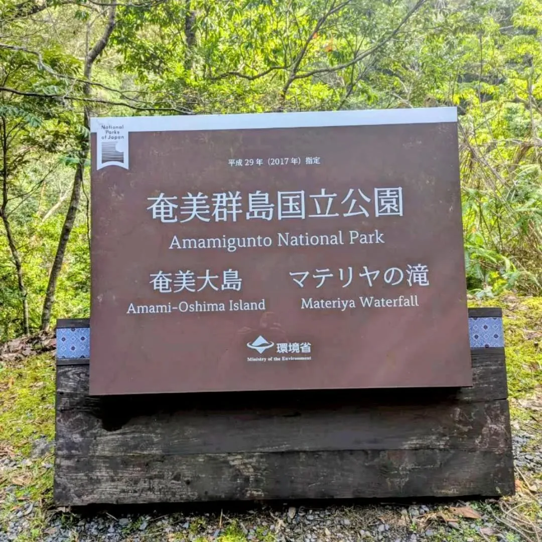 今年も残すところあと1ヶ月。