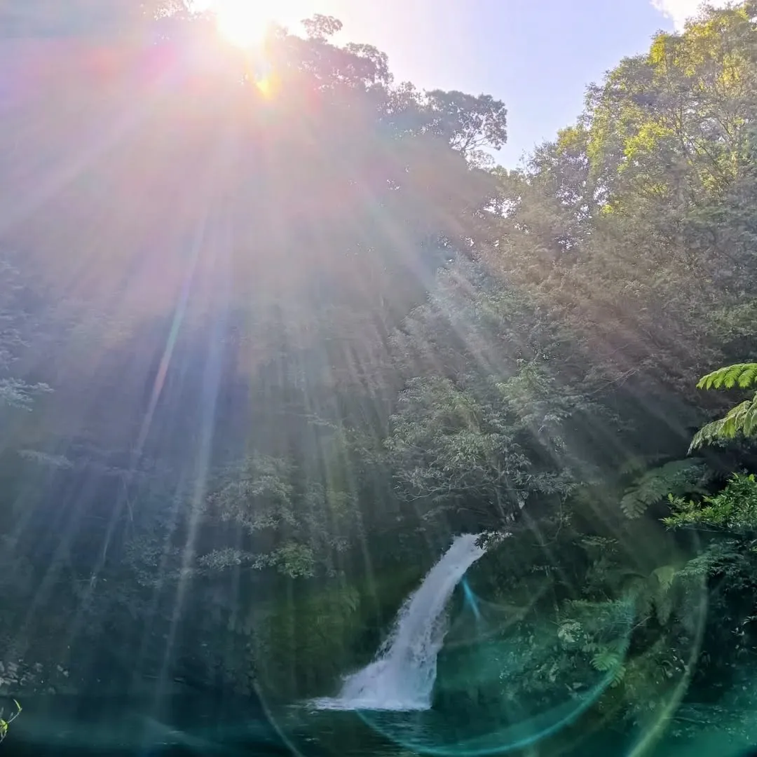 今年も残すところあと1ヶ月。