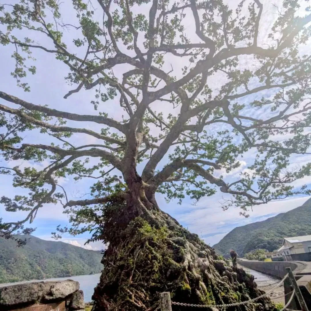 おはようございます☀