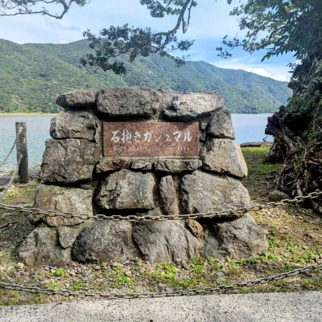 おはようございます☀