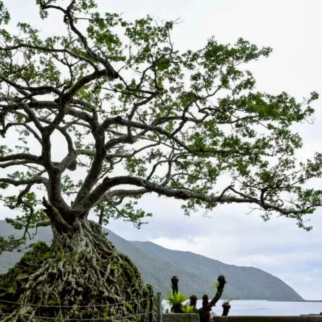 おはようございます☀