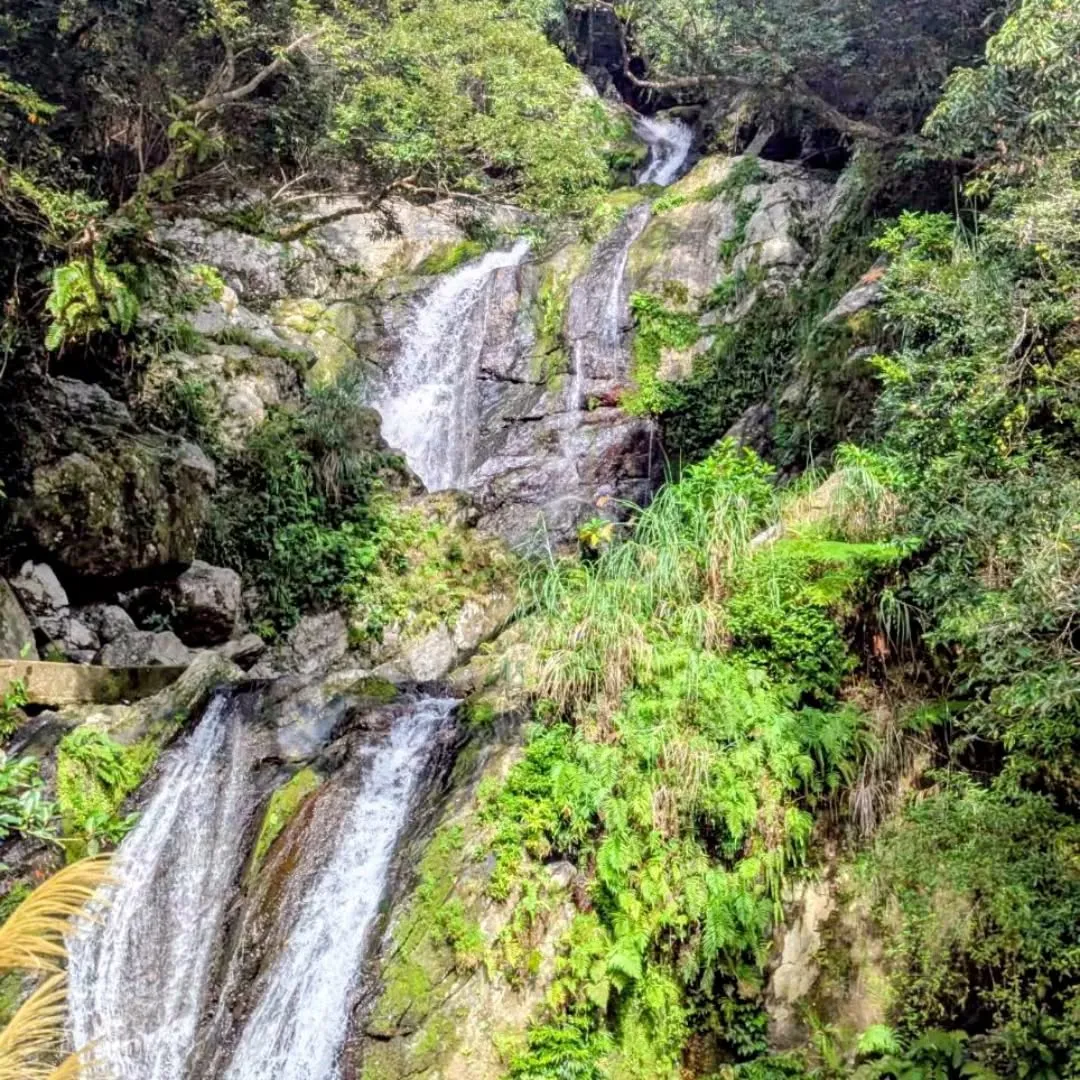 冬の奄美大島に、ひとさじのパワーを。