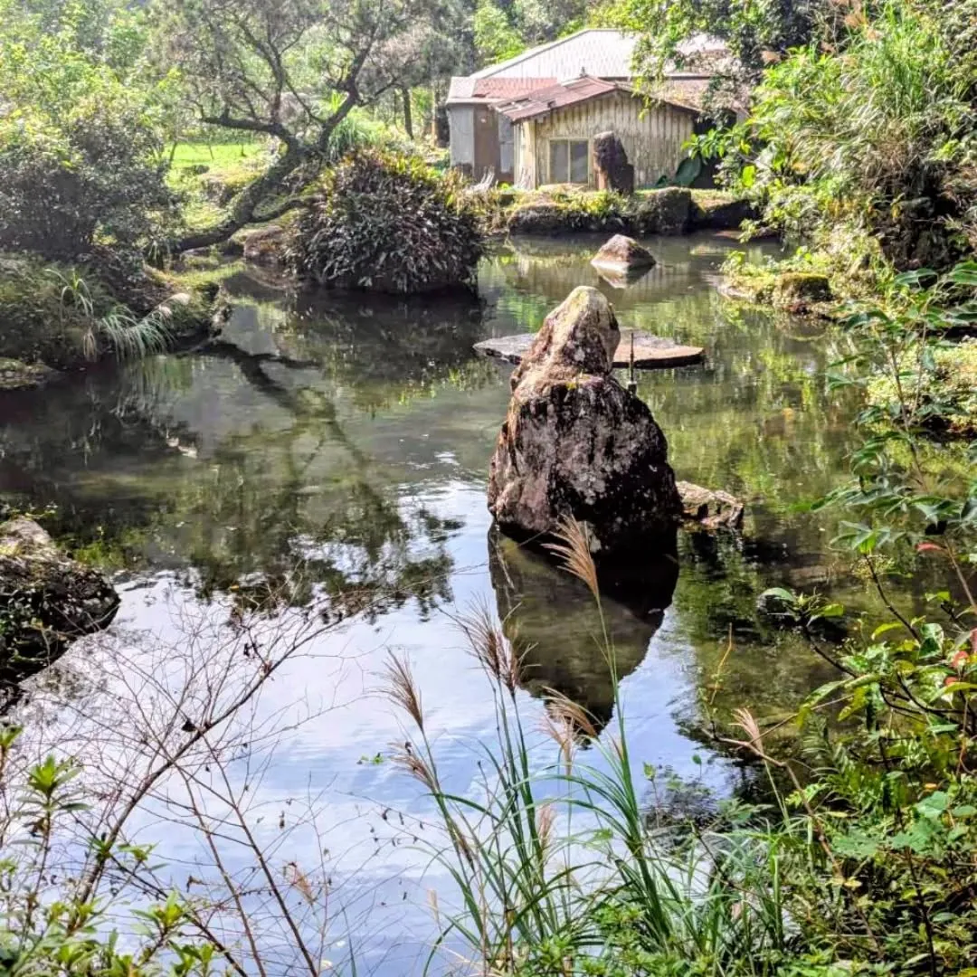 冬の奄美大島に、ひとさじのパワーを。