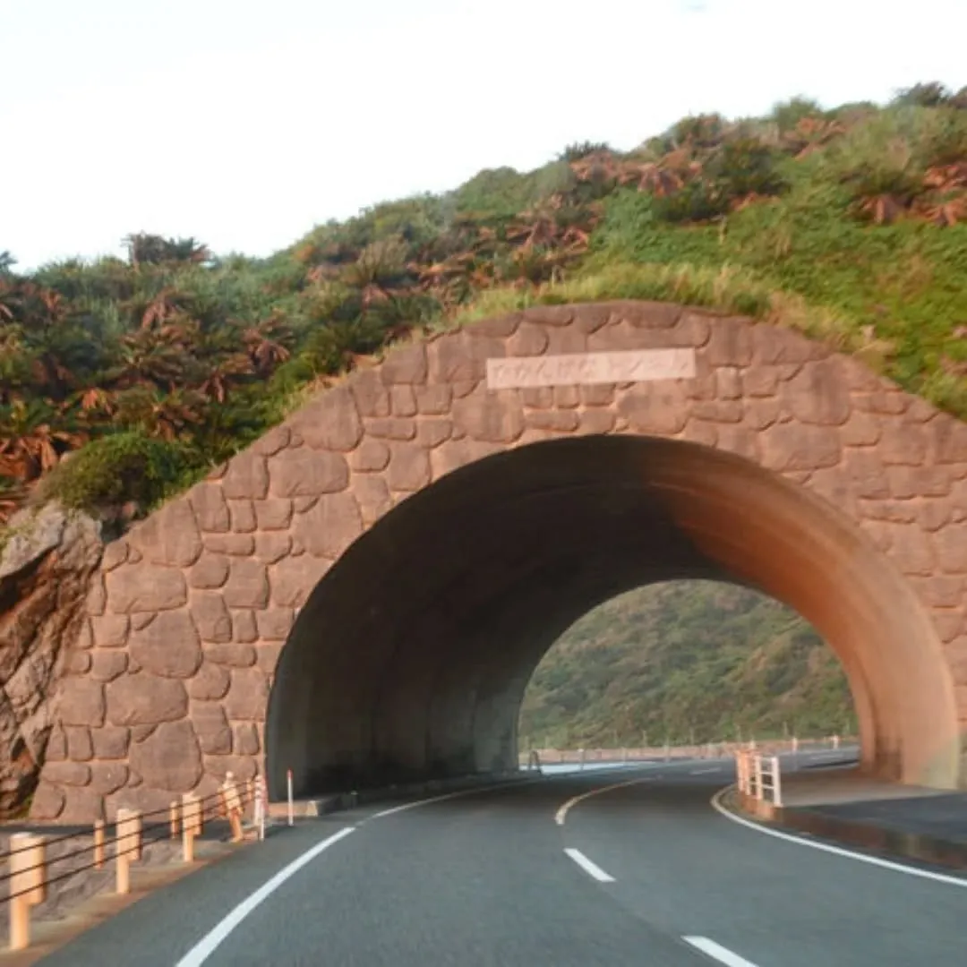 12月の奄美は、空気が透き通って✨