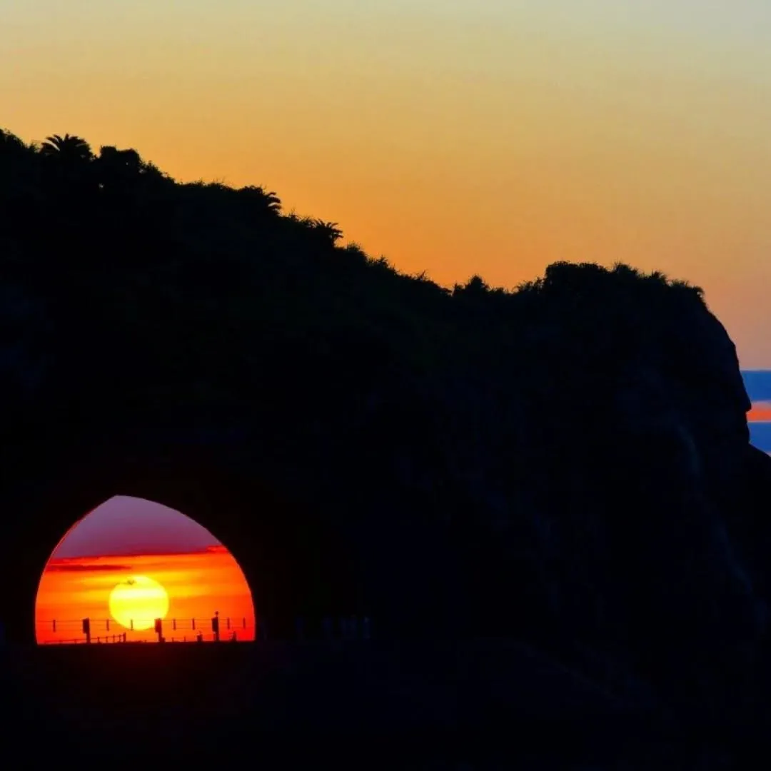 12月の奄美は、空気が透き通って✨