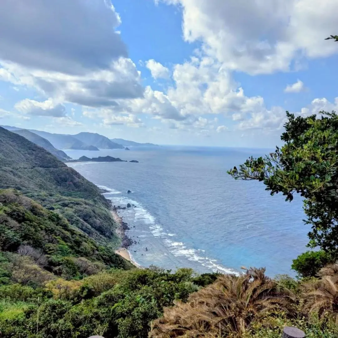空気が澄んで、海の青さが少し静かに見える季節。