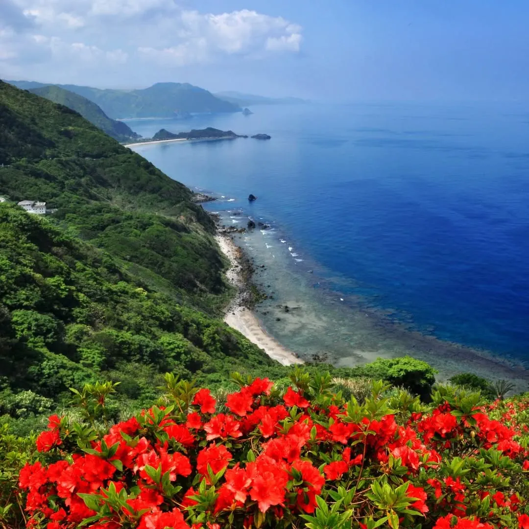 空気が澄んで、海の青さが少し静かに見える季節。