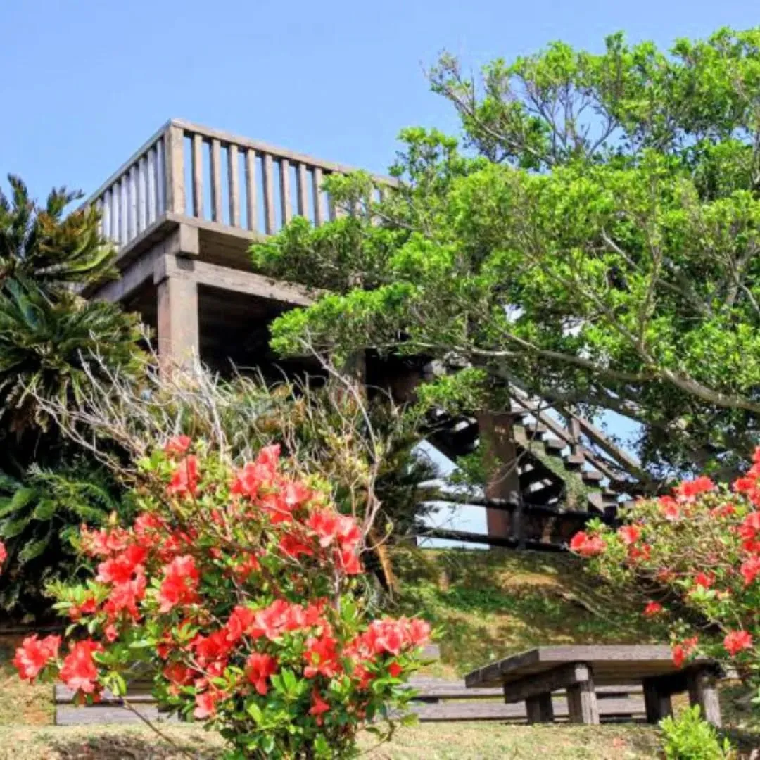 空気が澄んで、海の青さが少し静かに見える季節。
