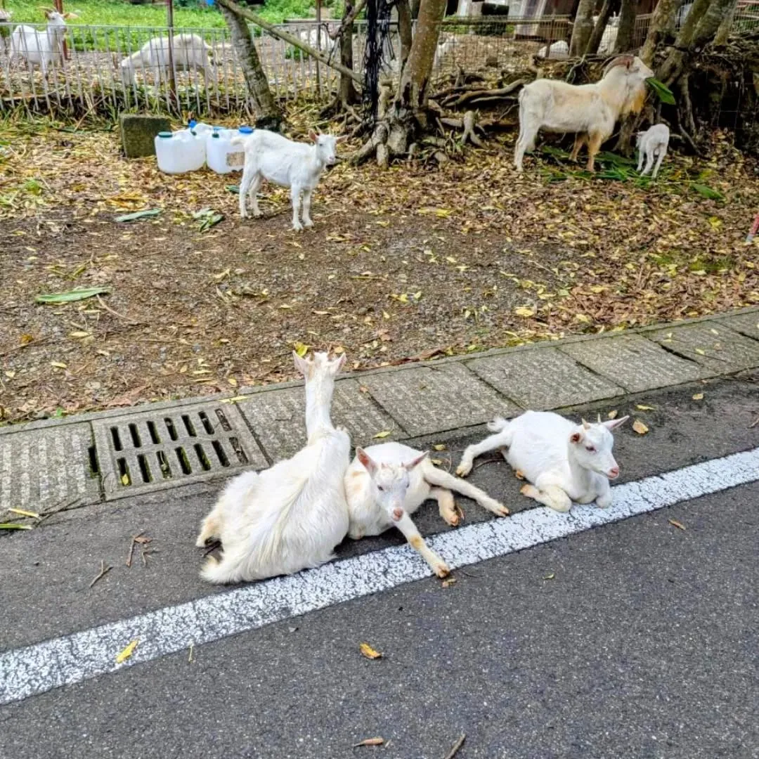 空気が澄んで、海の青さが少し静かに見える季節。