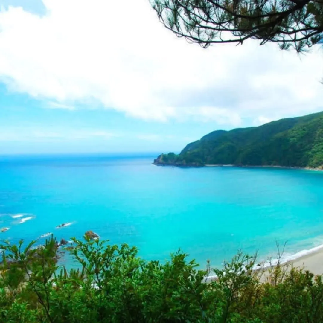 皆様、年末のご準備もうお済みですか?