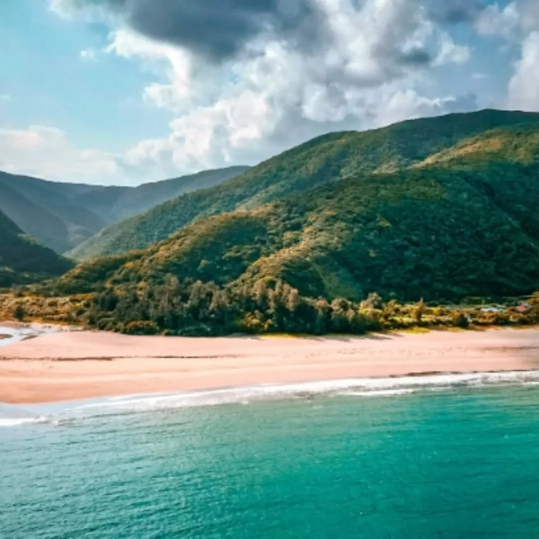 皆様、年末のご準備もうお済みですか?