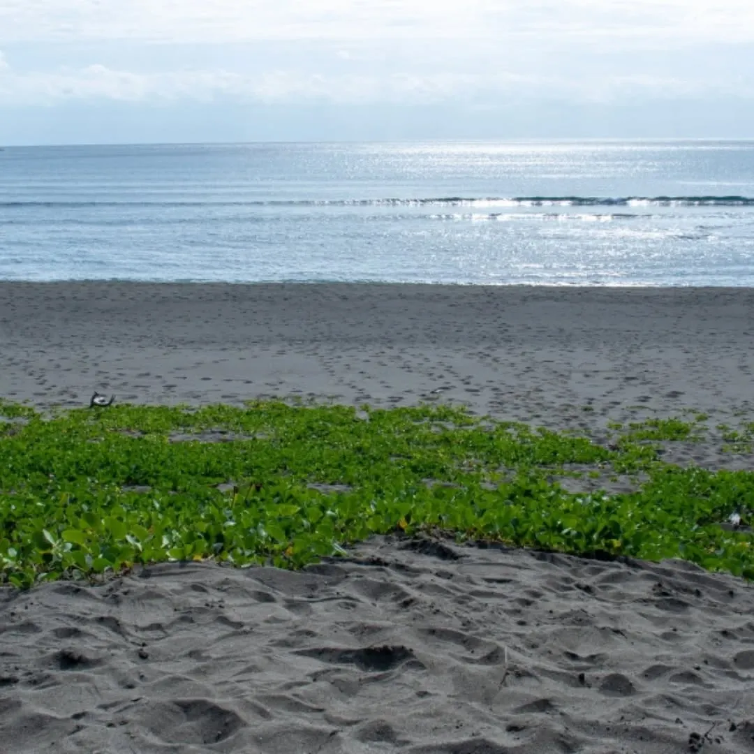 皆様、年末のご準備もうお済みですか?
