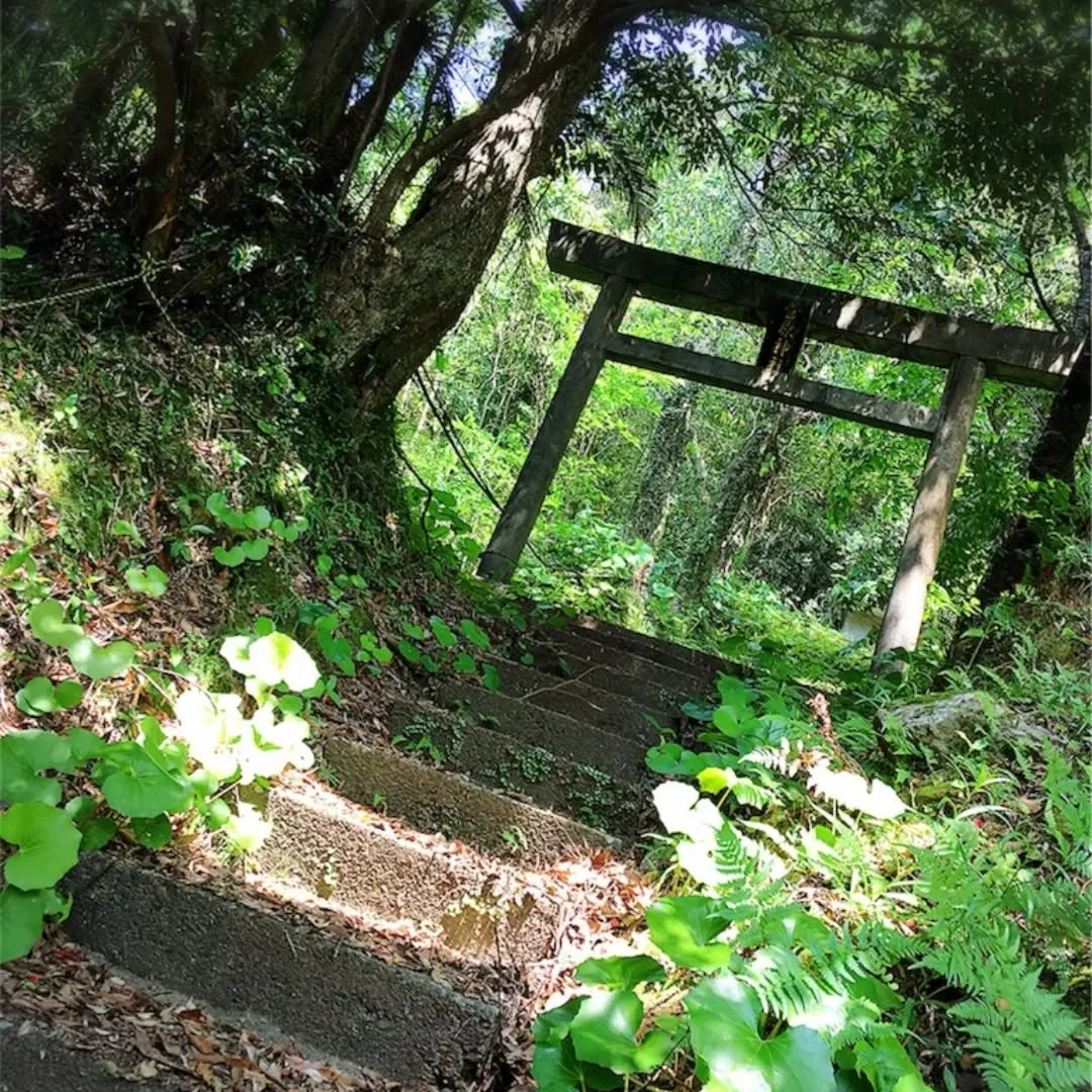 こんにちはAMAMI GREEN LABELです😊