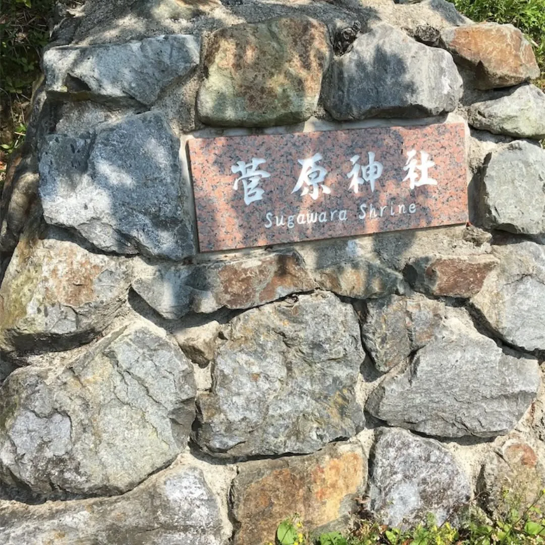 こんにちはAMAMI GREEN LABELです😊