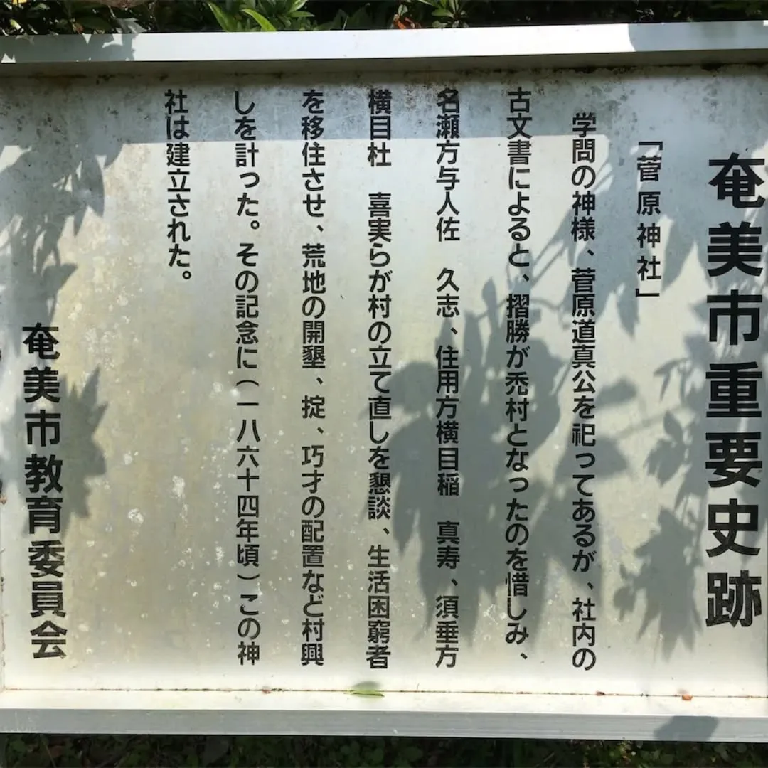 こんにちはAMAMI GREEN LABELです😊